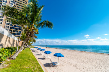 Palm trees and parasol row on Miami Beach, Florida, USA