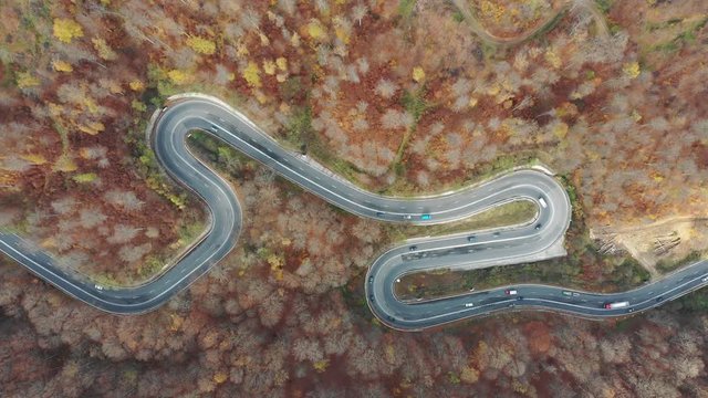 Aerial view of a scenic road trough the forest in fall season