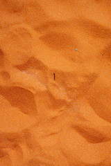 Colored sand texture