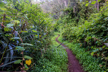 Cirque de Salazie in La Reunion island