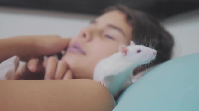 little girl is played on a bed with a white homemade handmade rat mouse. funny video lifestyle rat crawling over a little girl. girl and white mouse pet concept