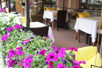 Fototapeta na wymiar decorative flowers in the street food restaurant
