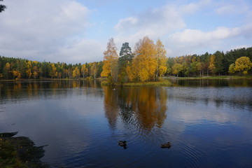 Obraz premium lake