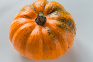 Pumpkin close up on a white background