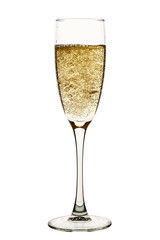 champagne glass on a white background