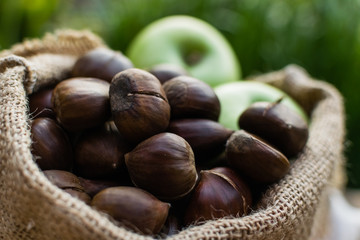 Autumn composition Chestnuts, apples and pear