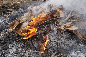 Burning leafs, flames, ash backgrounds and textures