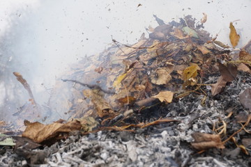 Burning leafs, flames, ash backgrounds and textures
