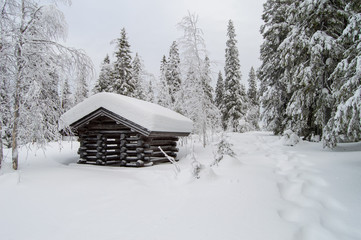 Fototapeta na wymiar Lapland cottage in winter forest