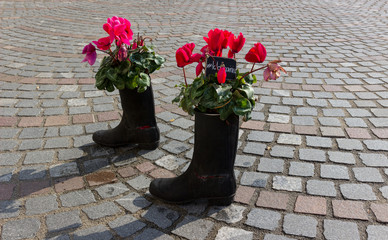 original way of selling flower in Ljubljana street, Slovenia