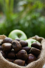 Autumn composition Chestnuts, apples and pear