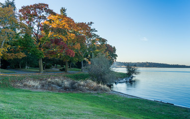 Lake Washington Autumn Colors