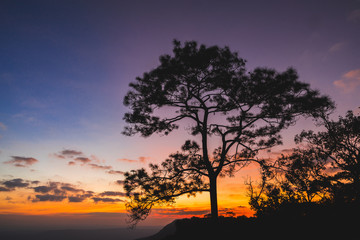 Sunset at Loei Province, Phu Kradueng National Park Thailand. Landscape view from mountain.
