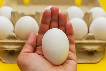egg in hand on background of other eggs