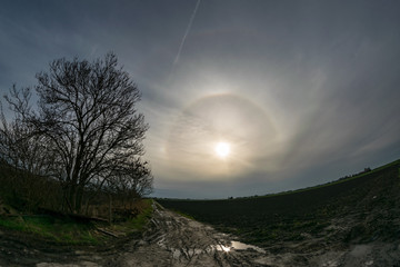 Naklejka na ściany i meble A bright 22 degree halo with upper tangent arc and parhelia over the dutch countryside