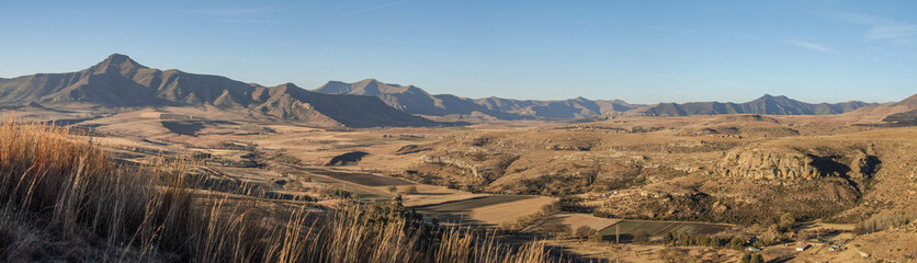 Scenic view of the farm