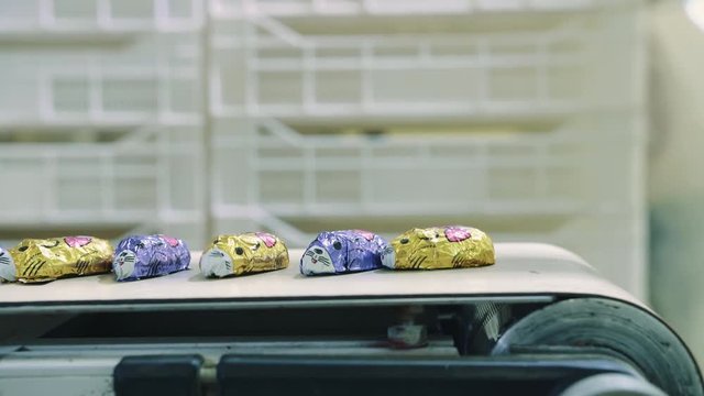 Wrapped candies lying on conveyor. Candy factory.