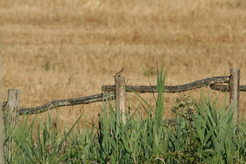 Fototapeta premium which way do I go?