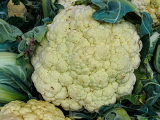 Cauliflower