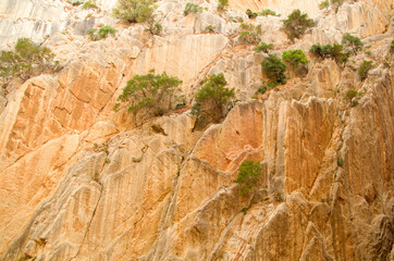 Roks in Caminito del Rey