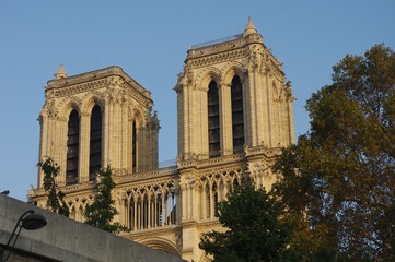 Fototapeta na wymiar Notre-Dame de Paris vue de la Seine