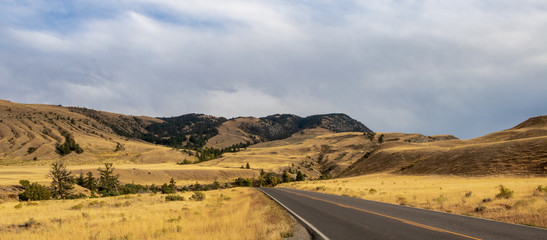 Road through northern Yellowstone National Park