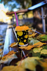 delicious cocoa with marshmallows and a tube with condensed milk in the autumn park