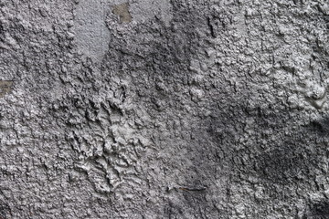 Concrete texture gray-boloy colors. Harsh texture for design and decorations. Natural building material. Natural patterns on the stone. Plates for floor and walls.