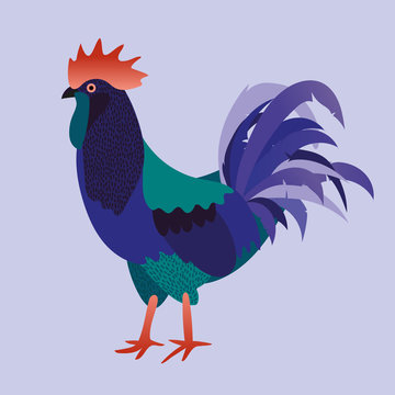 cock