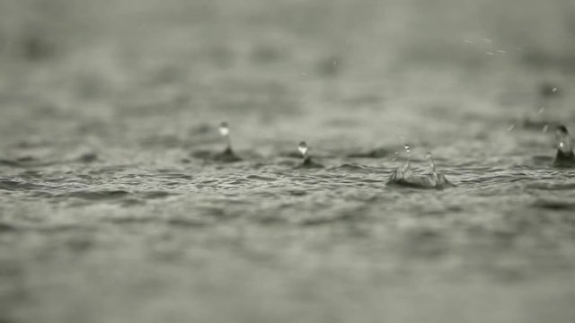 Heavy drops of rain on the surface of water. Smal lake neath the city. downpour. Slow motion video