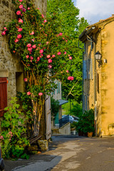 Rue de village en Provence au printemps, rosier en fleurs.