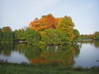 Autumn trees in the Park. Reflection of foliage in water.