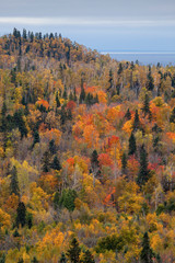 Fall foliage vista of the Superior National Forest on North Shore of Lake Superior, Minnesota. - 232684692