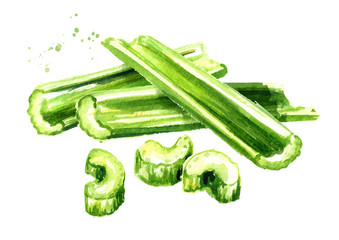 Fresh green celery stalk bunch. Watercolor hand drawn illustration  isolated on white background