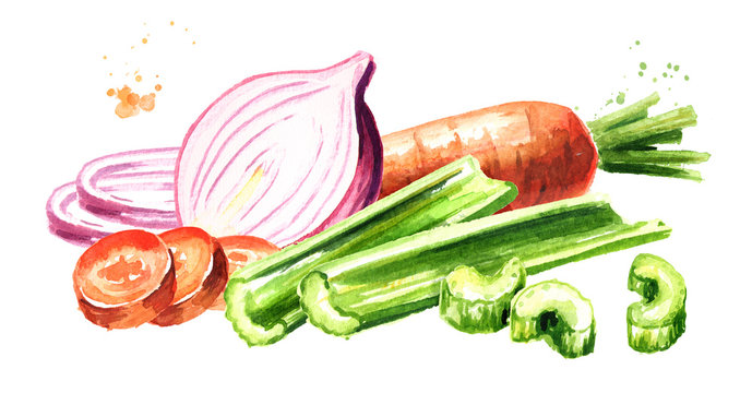 Onions, celery and carrots composition. Soffritto or Mirepoix. Watercolor hand drawn illustration  isolated on white background