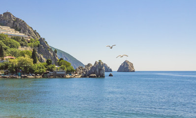 Naklejka premium Picturesque rocky coast of the Black sea with birds flying to the horizon.Crimea.