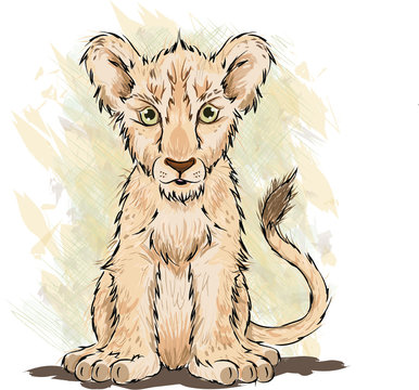 Procreate - Warmup sketches lion cub by InsulinPencil on DeviantArt