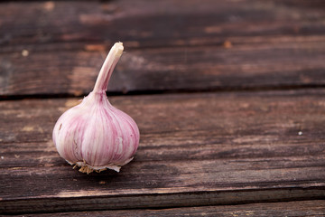 garlic on a dark wooden background