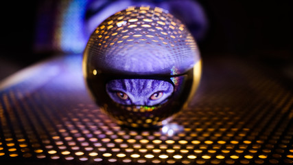 Glaskugel  mit Spiegelung eines Katzenkopfes liegt auf lila beleuchtetem Lochblech 