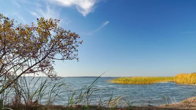 wundersch&ouml;ne, rauhe Natur im Naherholungsgebiet Insel Usedom Halbinsel Gnitz am Achterwasser