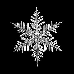 White snowflake on black background. This illustration based on real snow crystal macro photo: large stellar dendrite with fine hexagonal symmetry, complex structure and elegant shape.