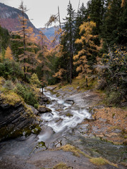 Torrent de Sales en automne
