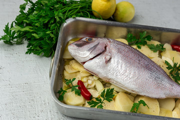 Raw fish ready to roast