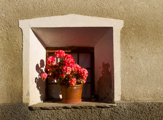 un vaso di fiori sul davanzale di una finestra di una casa in montagna - 232692630