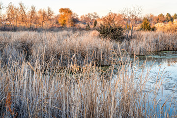 fall scenery of wetlands