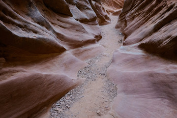 Utah Desert