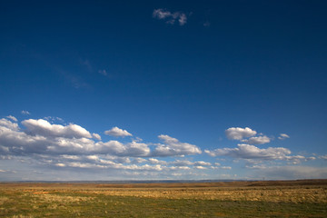 field and blue sky