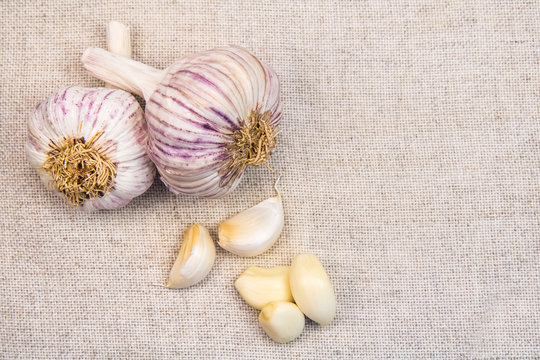 Fresh garlic closeup on sackcloth background. Top view.