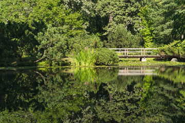 The bridge in the Park.