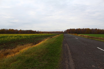 country road in the field